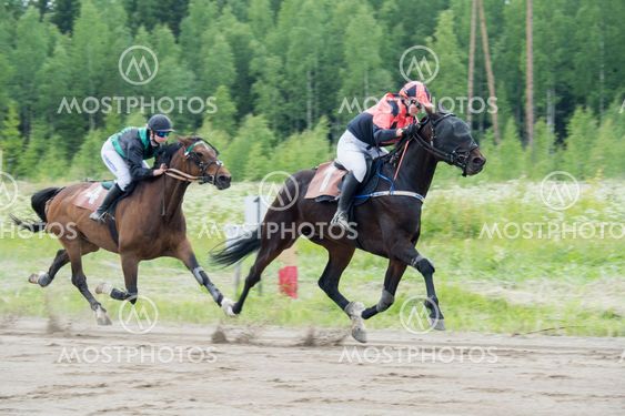 Hevonen