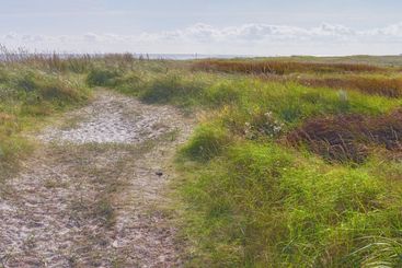 Sea, grass and green land with blue sky outdoor of...