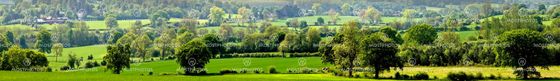farmland