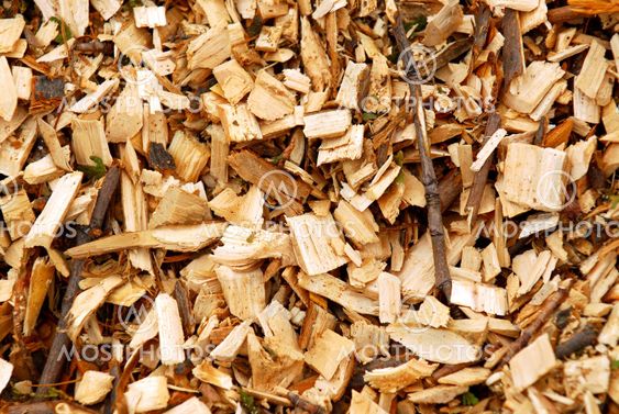 Wood chips