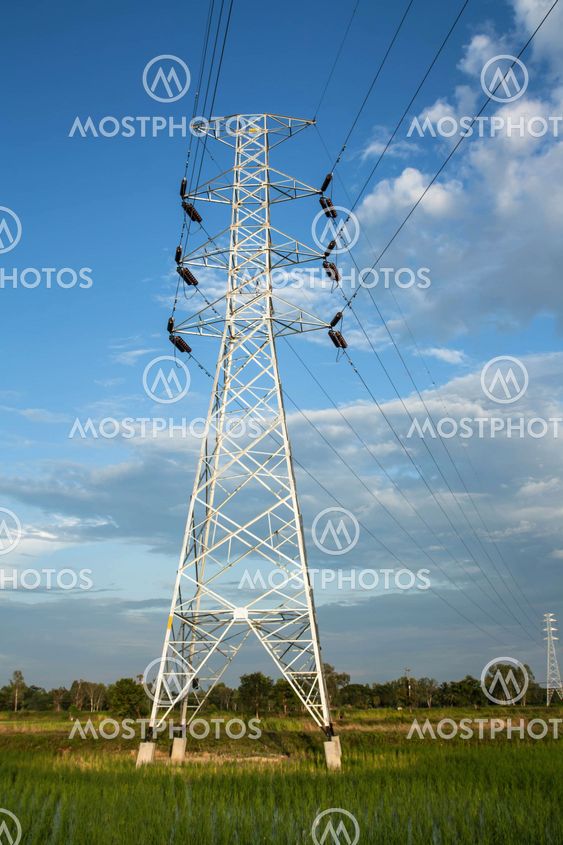 High voltage pylon in paddy