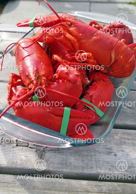 Freshly Cooked Lobster