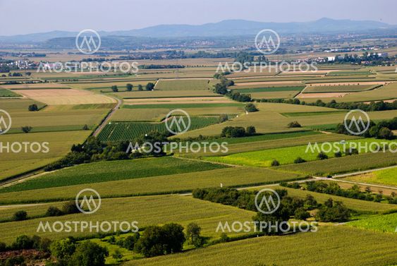 Agricultural landscape