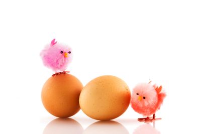 easter chickens and eggs