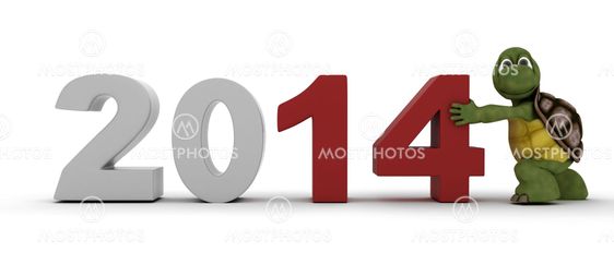 Tortoise Bringing in the new year