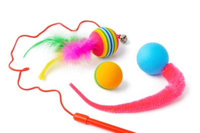 Cat toys isolated on white background studio shot