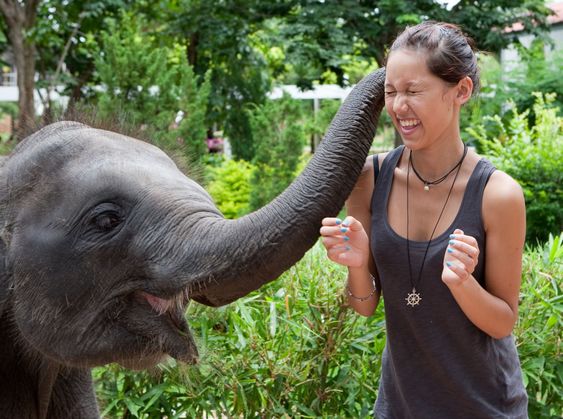 baby elephant play with female teenager