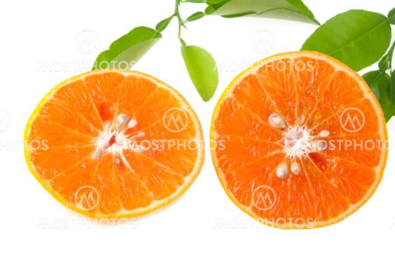 Slices of orange