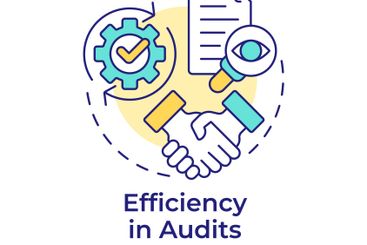 Efficiency in audits multi color concept icon
