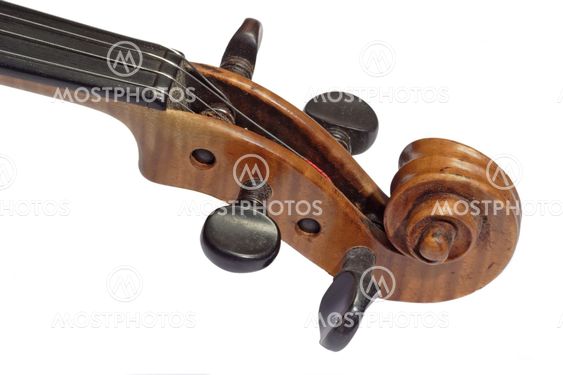 Violin Detail