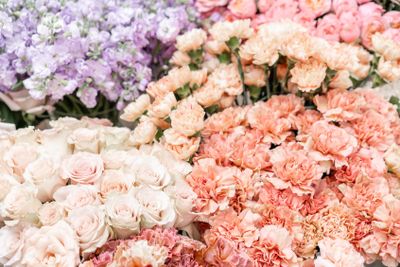 Floral carpet, flower texture, shop concept. Beautiful...