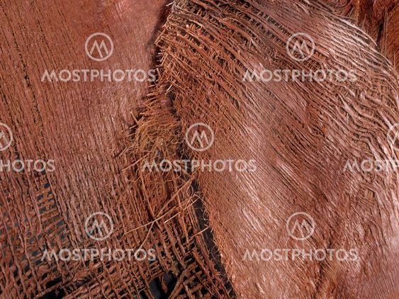 Detail Natural Plant Fibres