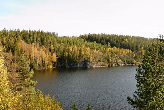 Autumn Lake