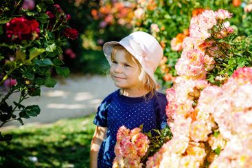 Portrait of little toddler girl in blossoming rose...