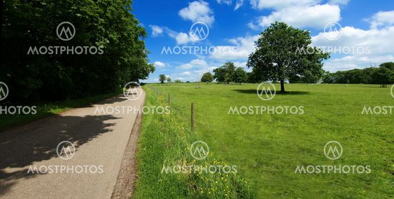 country lane
