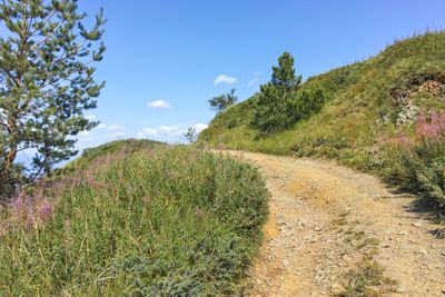 Summer landscape of Belasitsa Mountain, Bulgaria