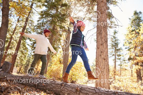 Children Having Fun And Balancing On Tree In Fall Woodland
