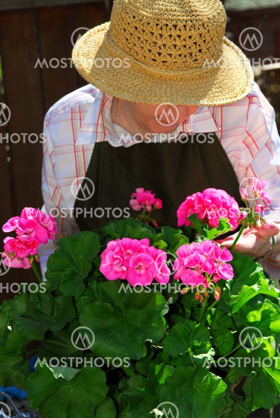 Senior woman gardening