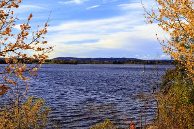 Autumn at the lake