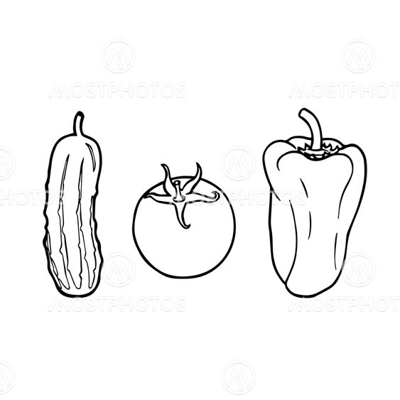 vector vegetarian vegetables - cucumber, tomato, pepper