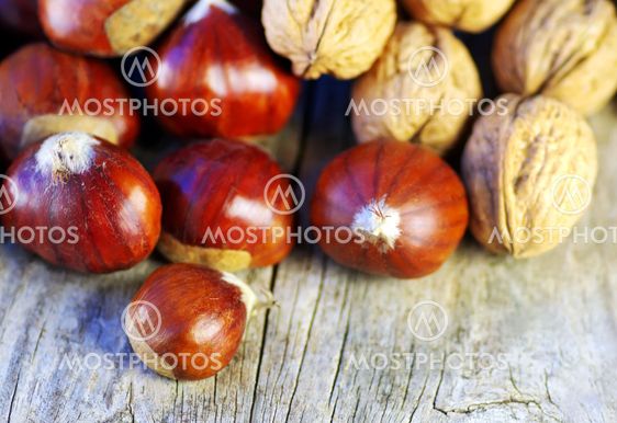 Assortment of nuts displayed on wood background