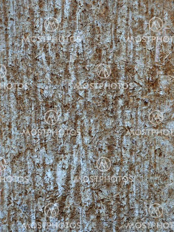 Worn-out Wooden Door Surface