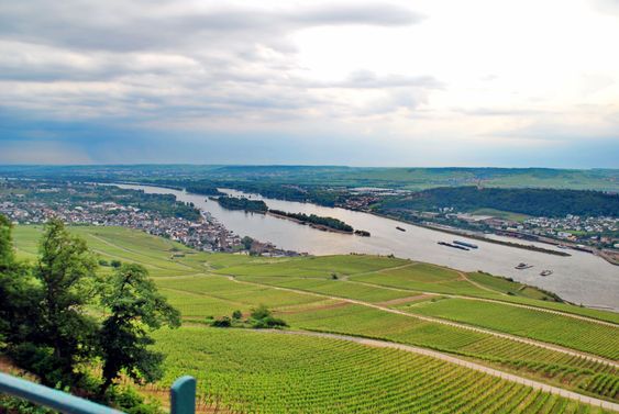 Flusslandschaft