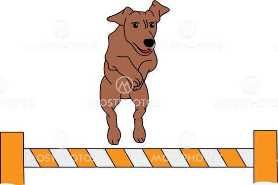 Dog ketteryys
