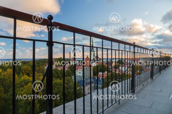 Patkuli viewing point and Tallinn Old town skyline on background