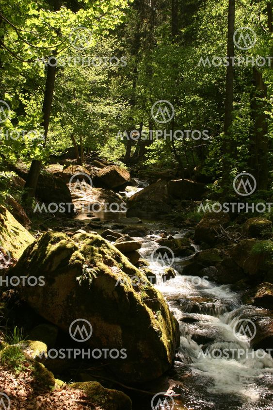 Mountain stream