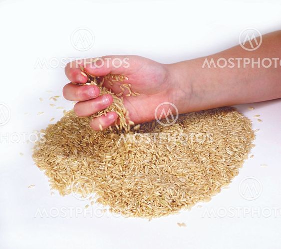 Basic food