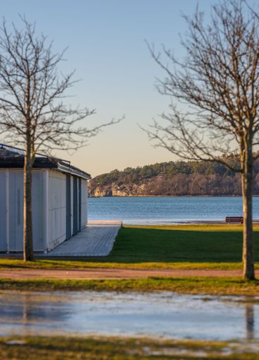 bench by beachfront with trees and seaside view.