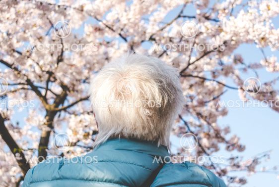 Back of the head of an elderly woman photograph beautiful...