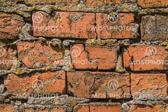 Old red brick wall texture with cracks and moss