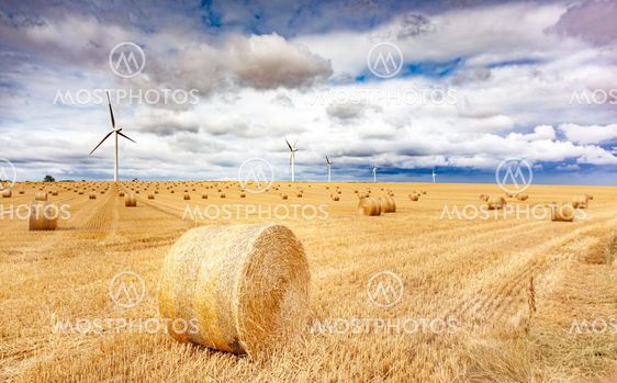 Windmill turbines in a agricultural landscape with...