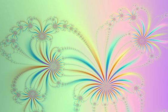Spider Plant Fractal