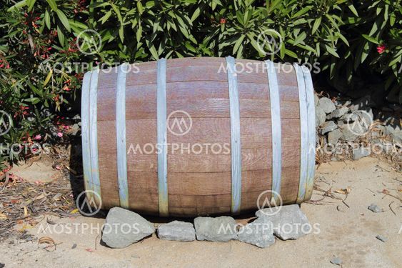 Wooden barrel with bush on back