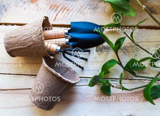 Green fresh plants, pots, rake and spade