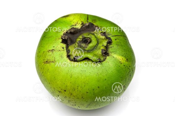 Black Sapote