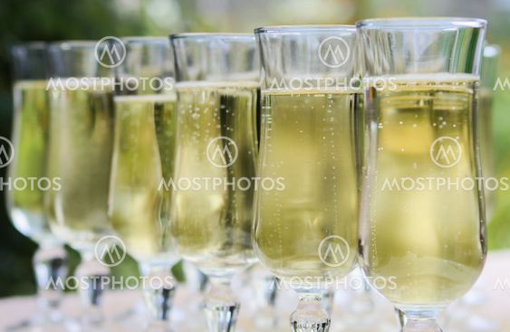 Champagne glasses