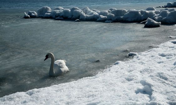 winter in denmark