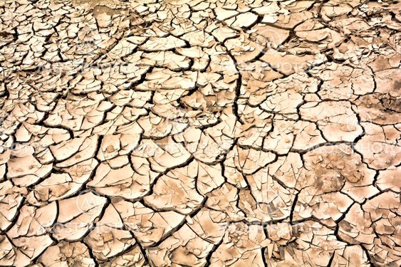 global warming