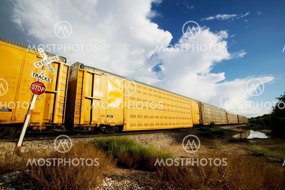 Train at the Crossing