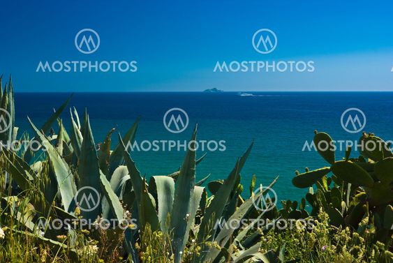 Meerblick bei Piombino/Elba - Seaview at Piombino/Elba