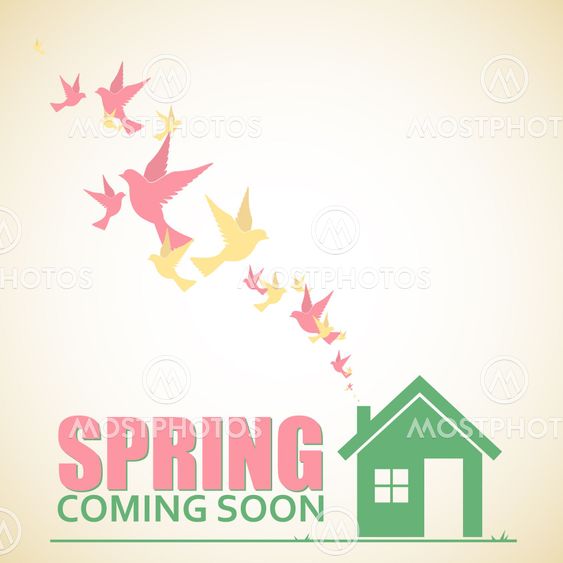 Abstract vector illustration of house and birds.