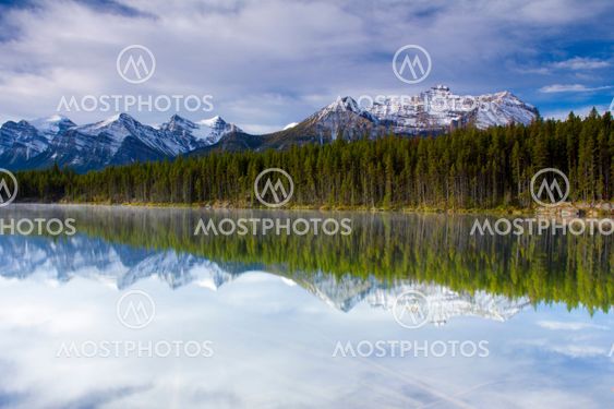 Herbert Lake