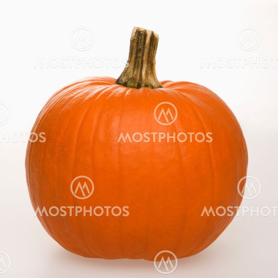 Pumpkin on white.