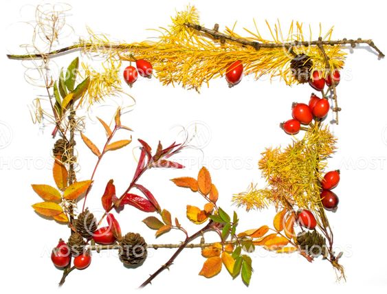 Autumn frame