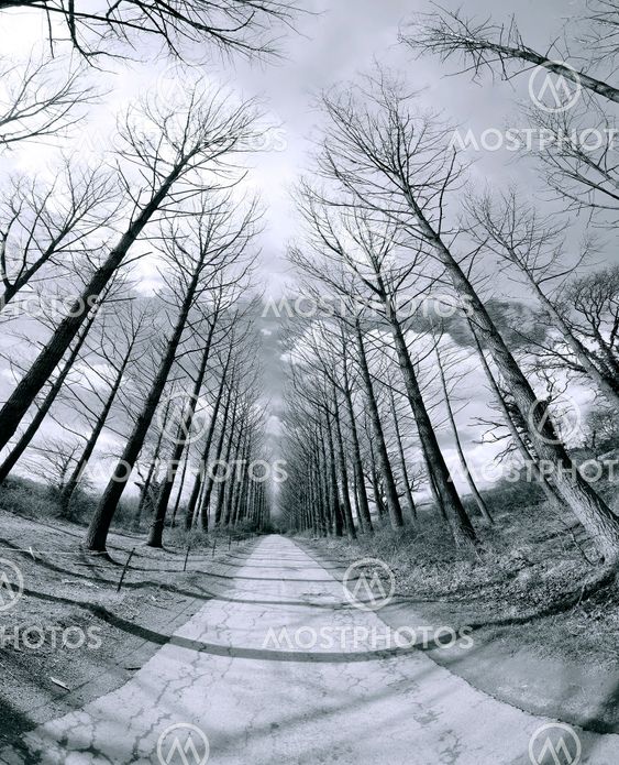 country road