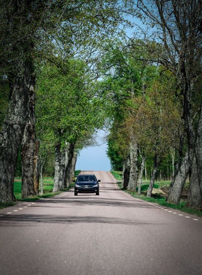 Bil på väg genom allé